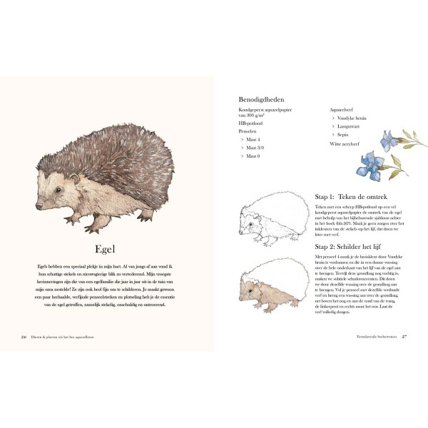 Dieren en planten uit het bos aquarelleren - Jane Carkill
