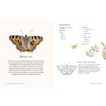 Dieren en planten uit het bos aquarelleren - Jane Carkill