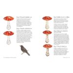 Dieren en planten uit het bos aquarelleren - Jane Carkill