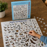 Puzzel Vogels van Nederland- Jasper de Ruiter