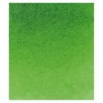 Schmincke horadam 1/2 napje - 530 sap green