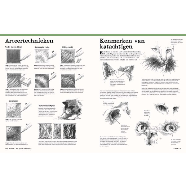 Dieren - het grote tekenboek