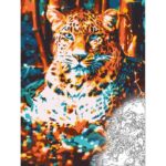DoCraft schilderen op nummer - resting leopard