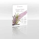 Hahnemuhle watercolour paper sugar cane - 290gr A3