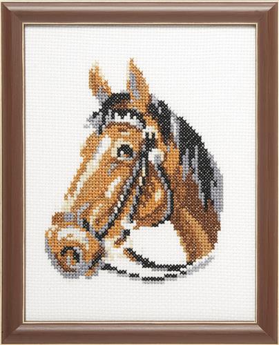 Pako borduurpakket telpatroon aïda paard 13x17cm