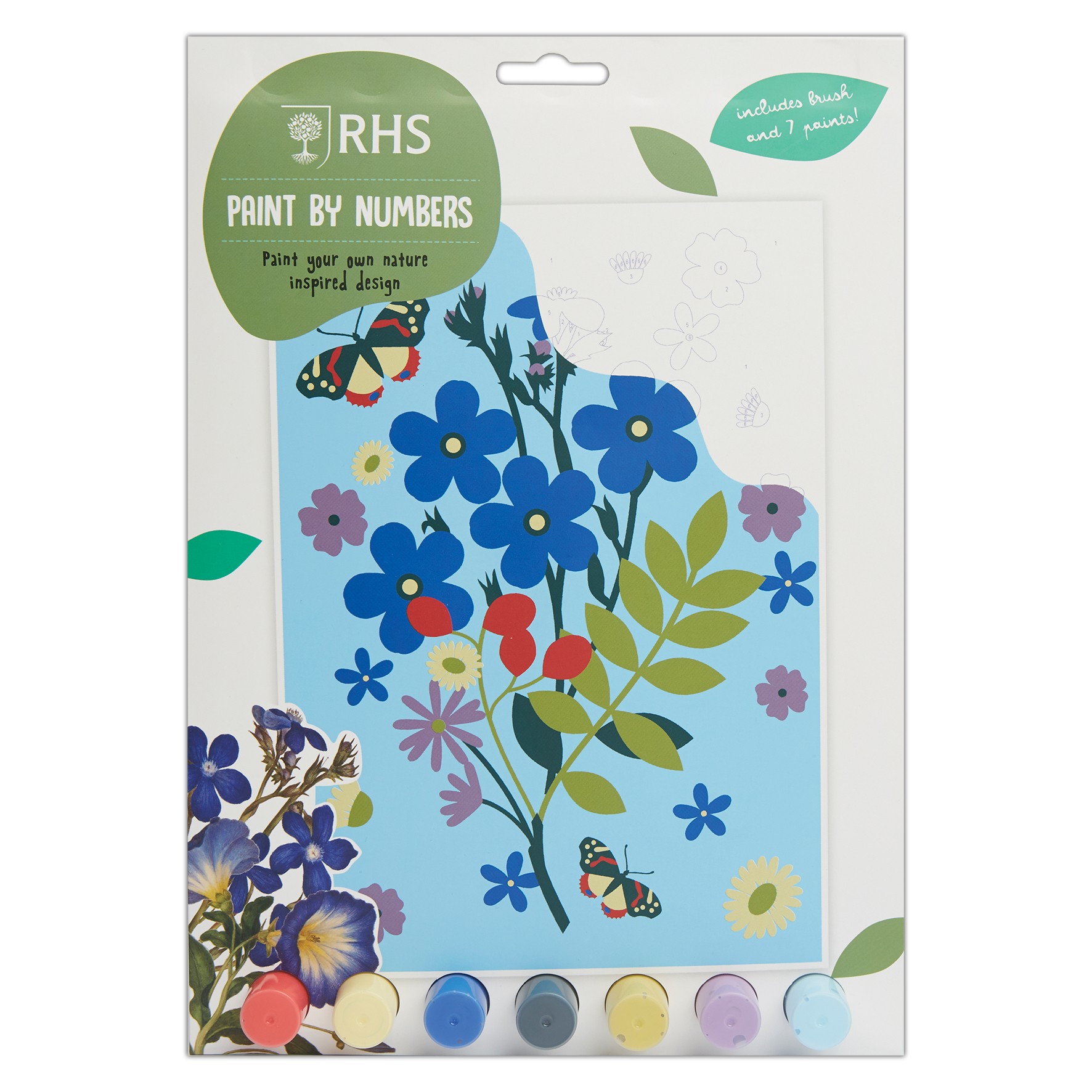 RHS schilderen op nummer - bloom