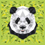 Enjoy art schilder op nummer - Panda