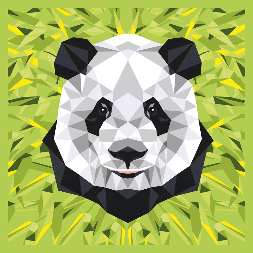 Enjoy art schilder op nummer - Panda