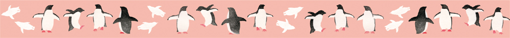 MT washitape artist tape - adelie penguin
