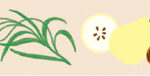 MT washitape artist tape - golden autumn