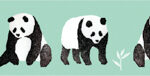 MT washitape artist tape - panda