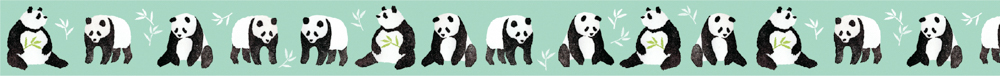 MT washitape artist tape - panda
