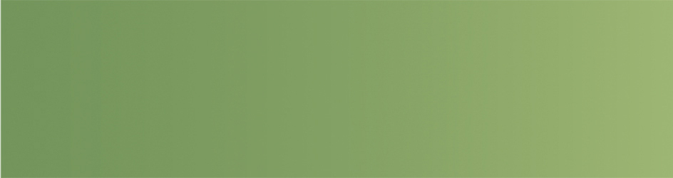 MT washitape basic - yellow green (high brightness)