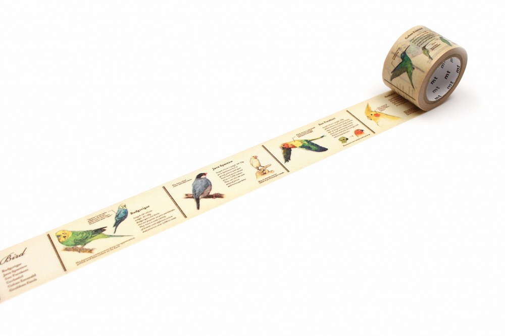 MT washitape ex - encyclopedia / bird