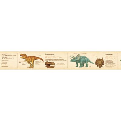 MT washitape ex - encyclopedia dinosaur