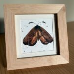 Workshop wat môt je? - 1 december