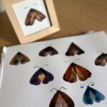 Workshop wat môt je? - 1 december