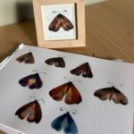 Workshop wat môt je? - 1 december
